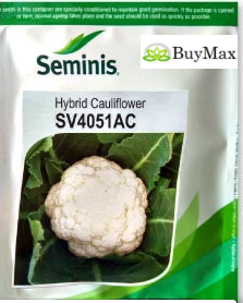 SV4051AC फूलगोभी