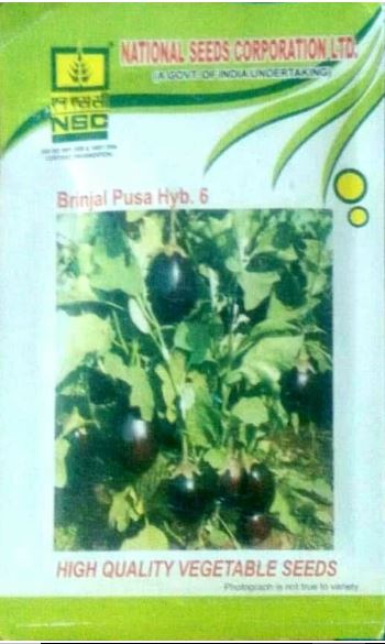 NSC Brinjal(बैंगन )- Pusa hybrid 5-10 gm( Price include Procurement & Handling)