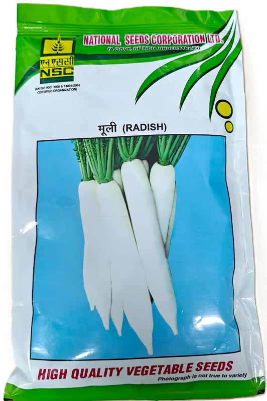 NSC Radish Pusa Chetaki Seed -250 gram
