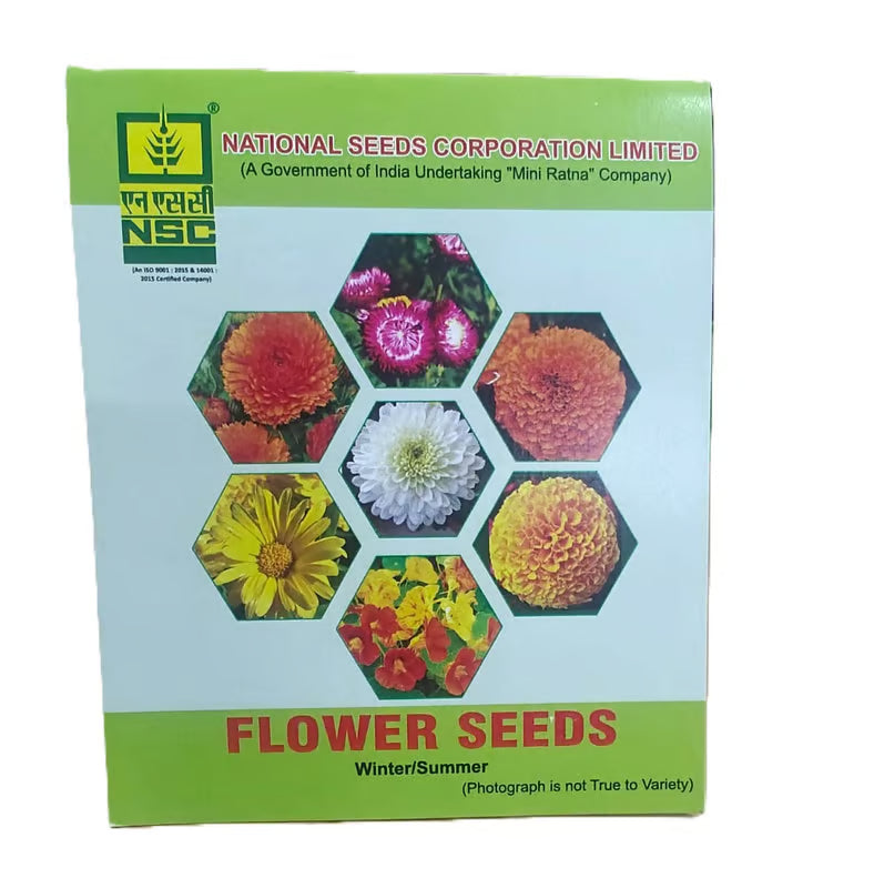 NSC Gailardia pulchella flower seed- 5 gram pack