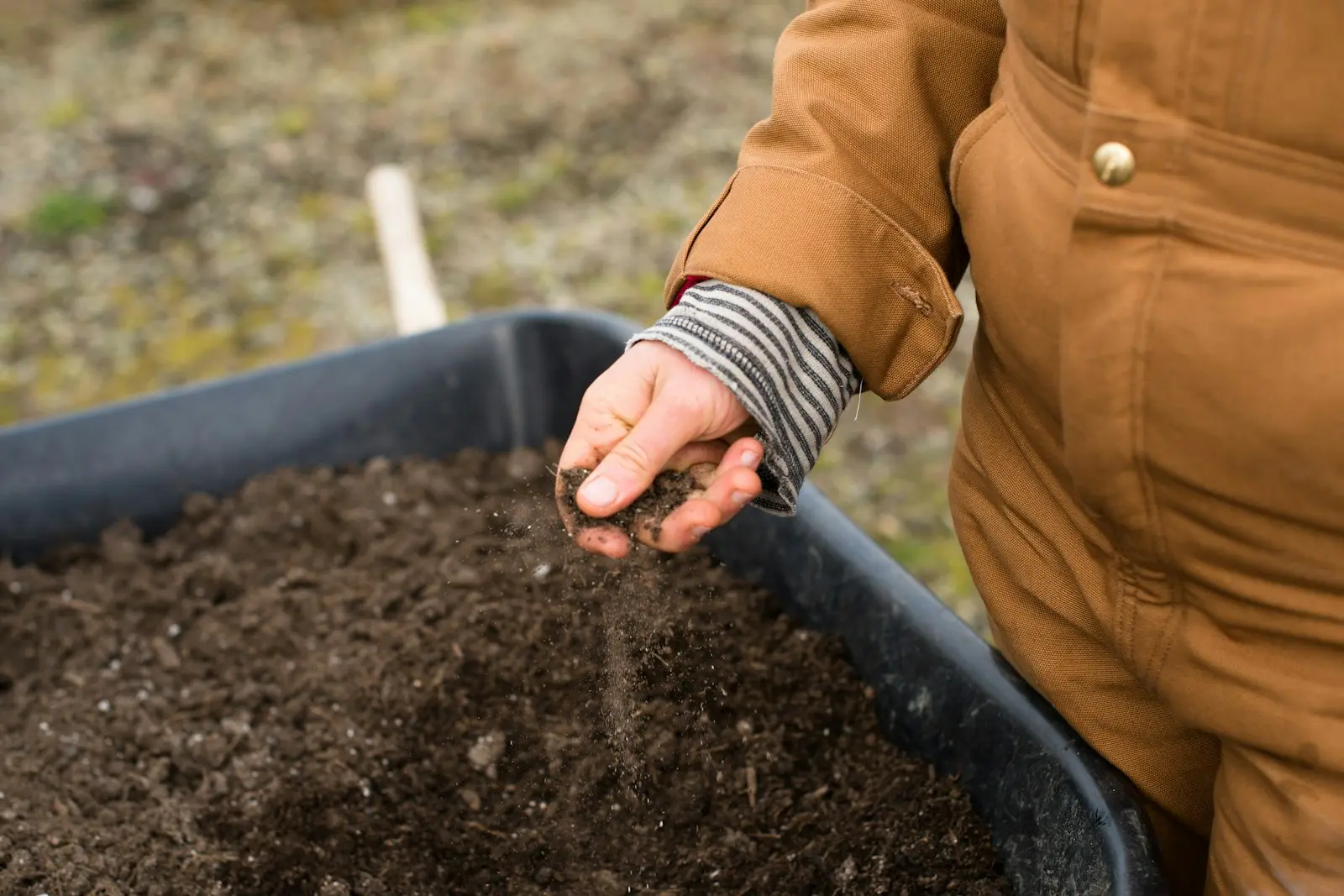 A hand sprinkling dark, crumbly soil-like material from a wheelbarrow onto a garden bed