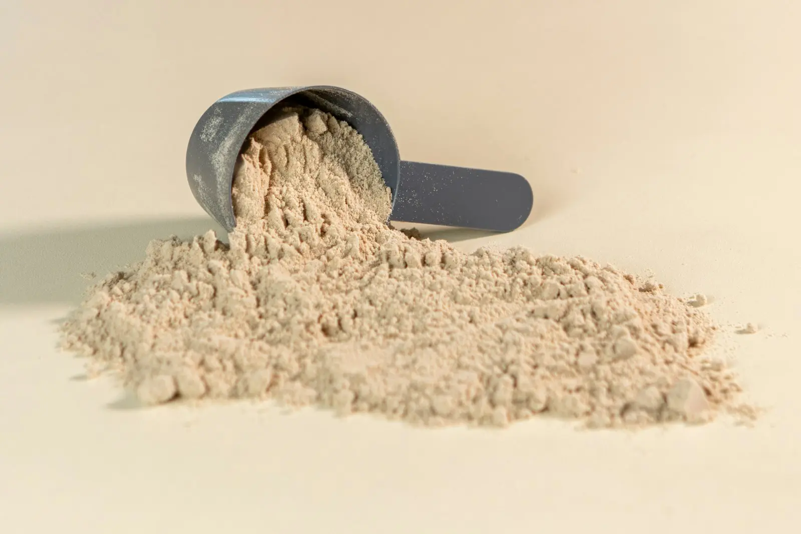 A scoop tipped over in a heap of fine, off-white bone meal powder