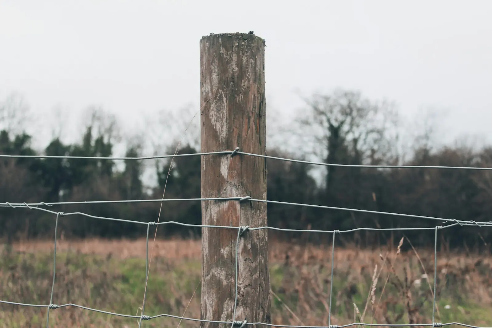 A weathered wooden fence post strung with wire fencing, marking the edge of a field
