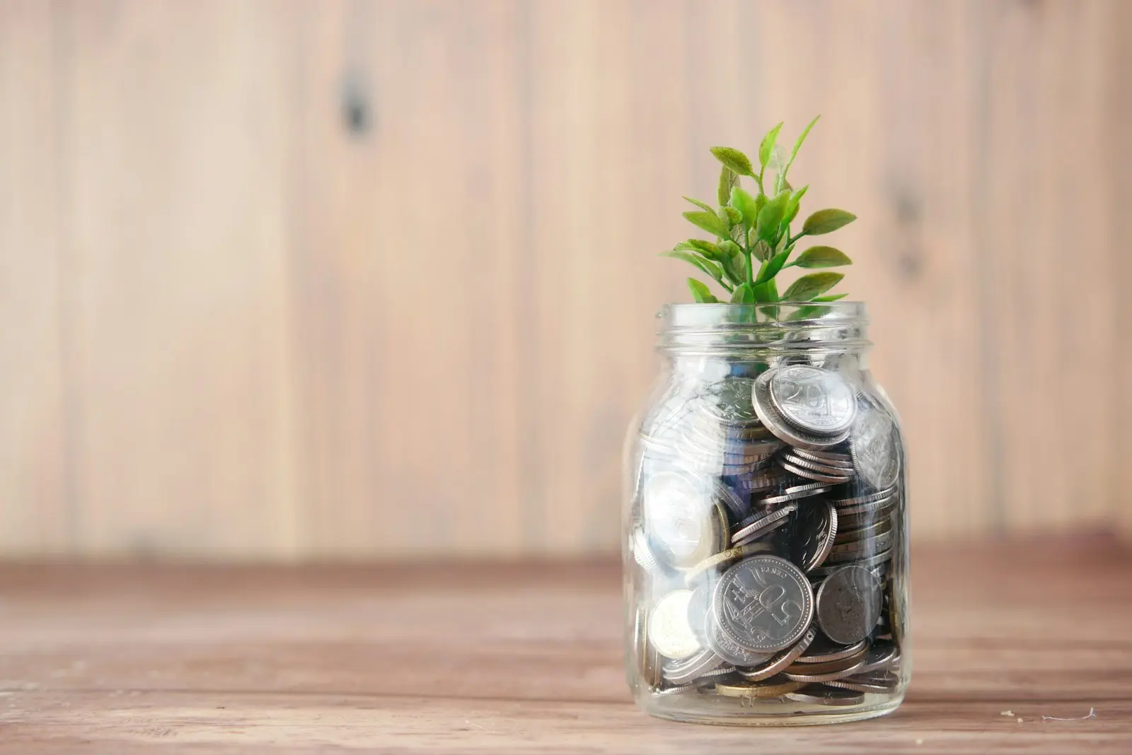 A glass jar filled with coins with a small green plant sprouting from the top