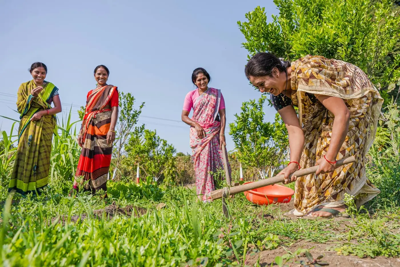 Four women farmers in colourful saris laughing together in a green field, one of them working the soil with a hoe