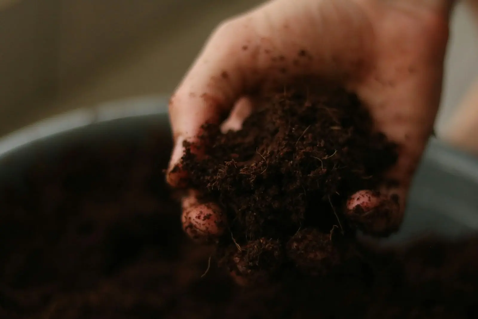 A hand holding a mound of dark, crumbly soil above a container