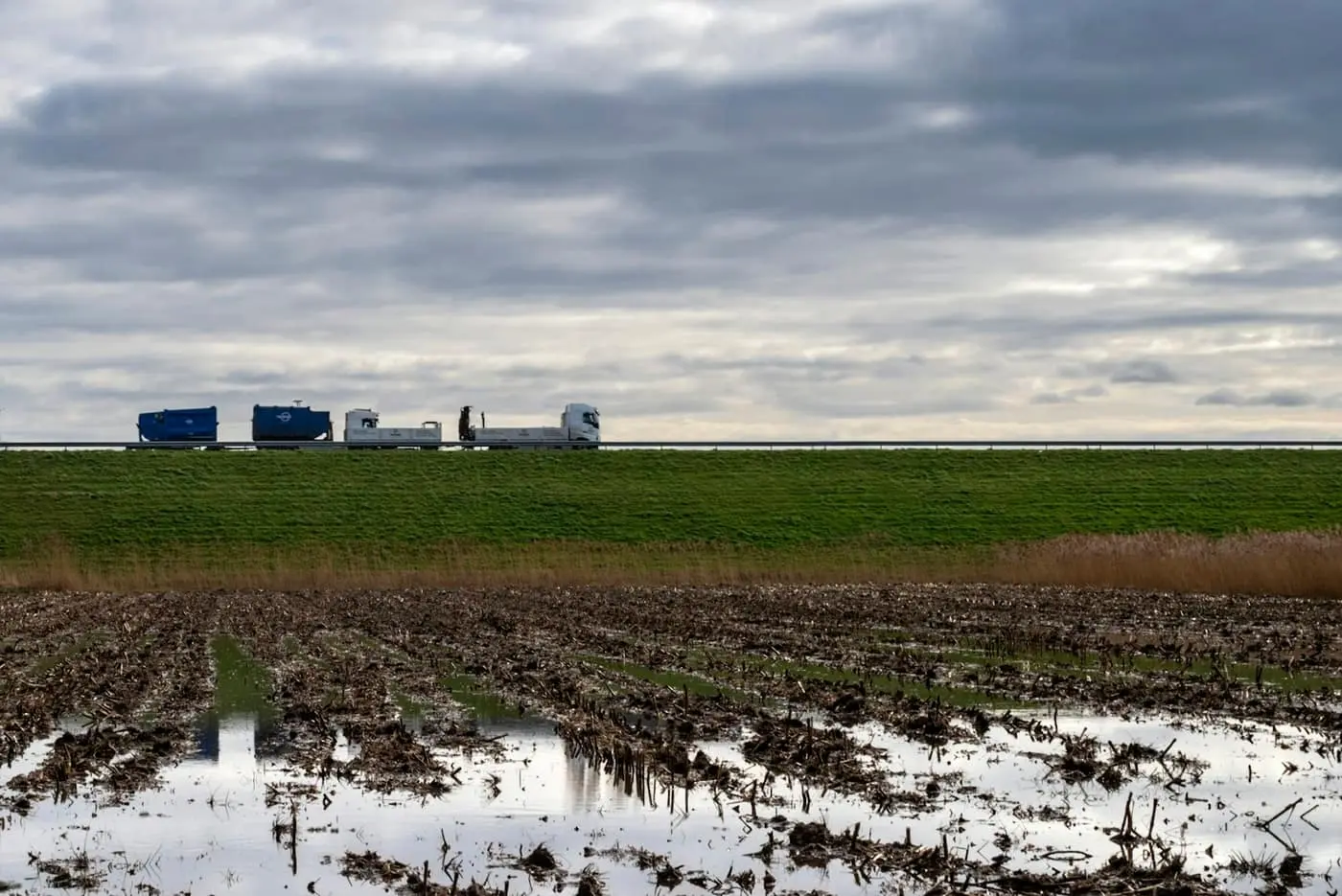 A harvested crop field under standing rainwater after heavy rain, with stubble rows poking through the water under a grey sky