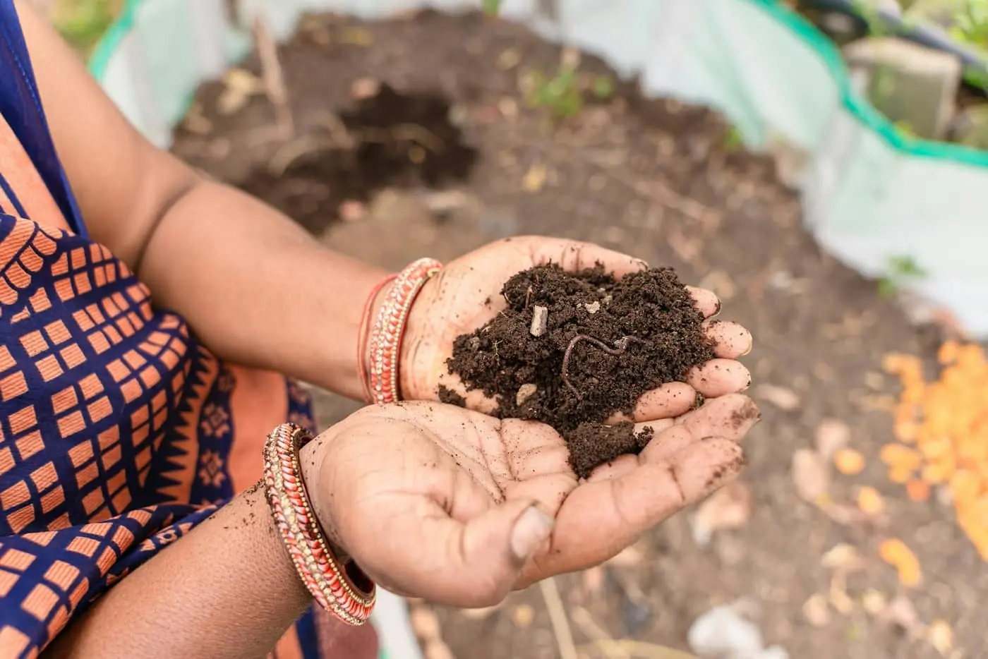 A woman farmer holding a handful of dark, moist soil in her cupped palms over a garden bed