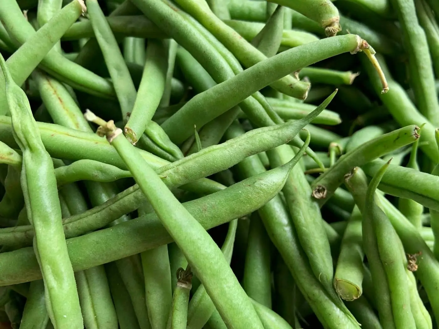 A pile of fresh slender green bean pods, similar in size, shape and colour to guar (cluster bean) pods