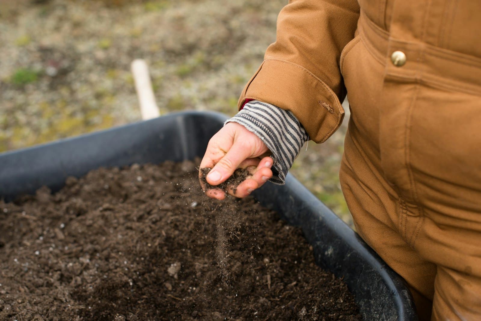 A hand sprinkling dark, crumbly soil-like material from a wheelbarrow onto a garden bed