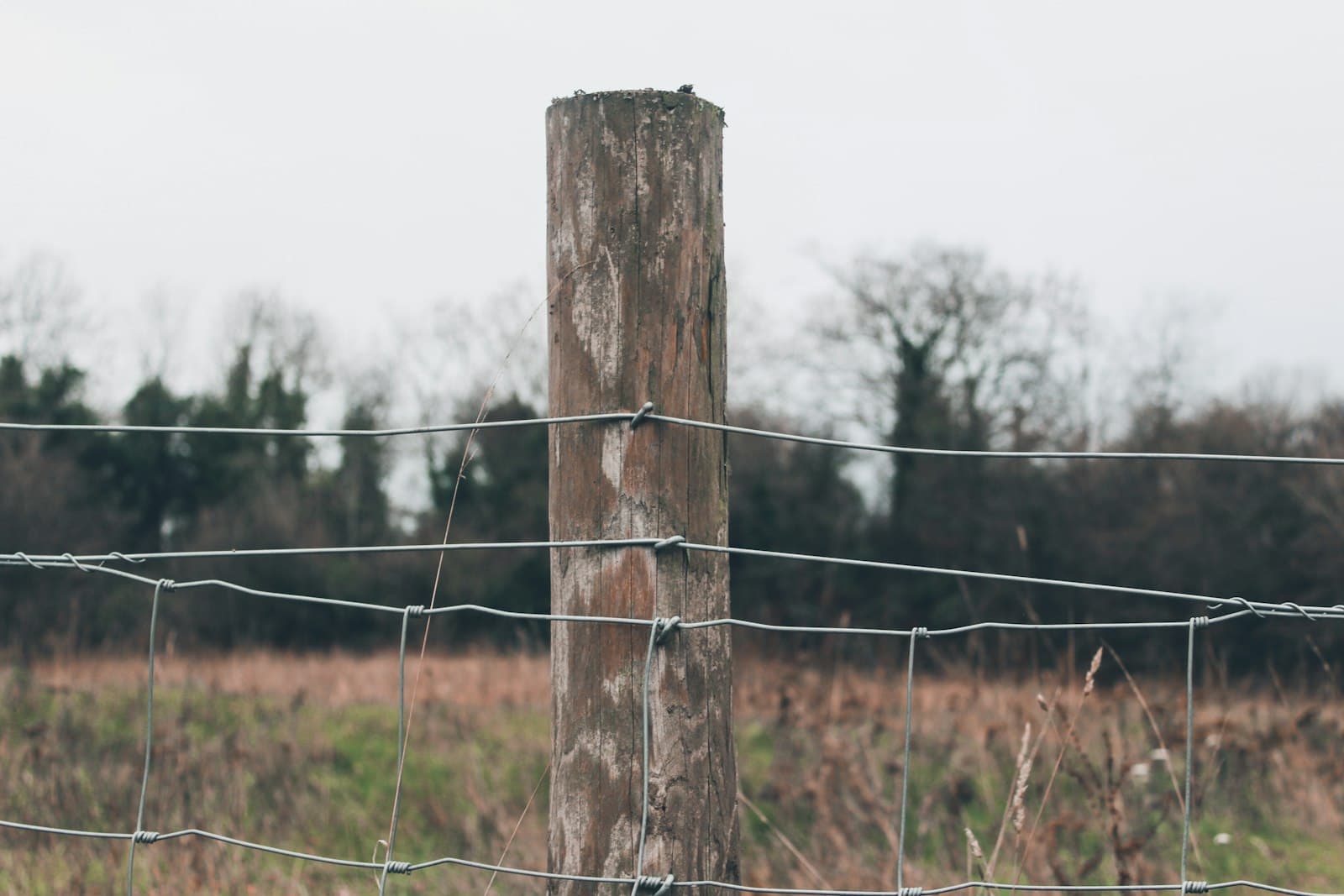 A weathered wooden fence post strung with wire fencing, marking the edge of a field
