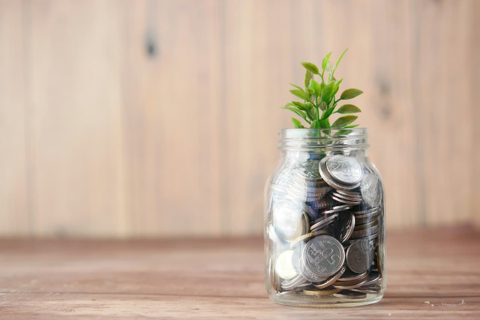 A glass jar filled with coins with a small green plant sprouting from the top