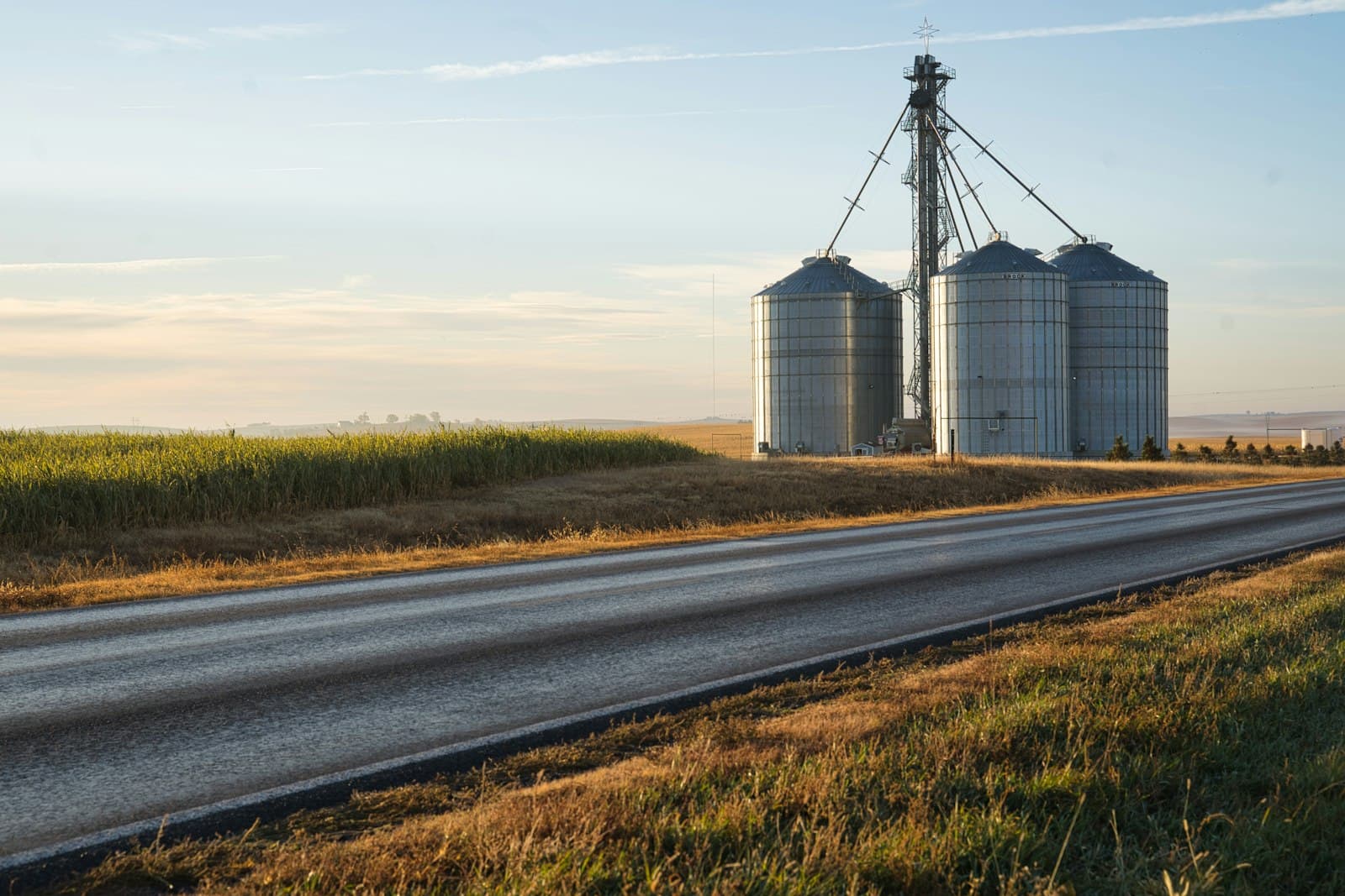 Three large metal grain storage silos beside a rural road next to a cornfield