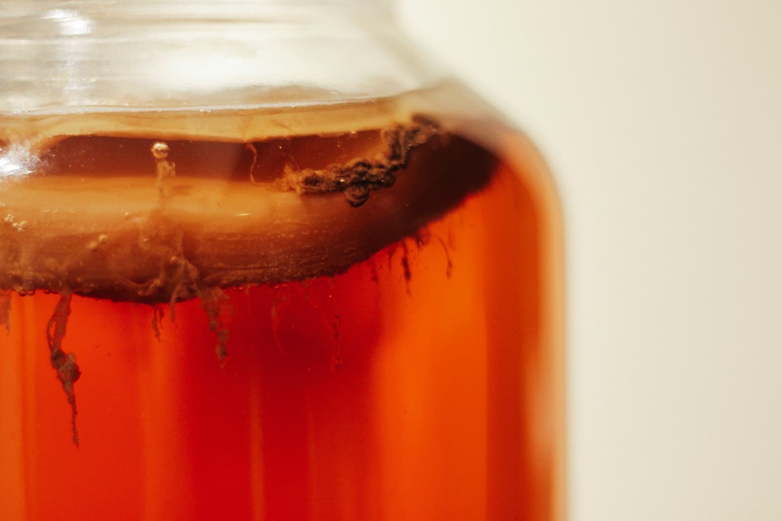 A glass jar of dark reddish-brown liquid fermenting, with a pale film forming across the surface