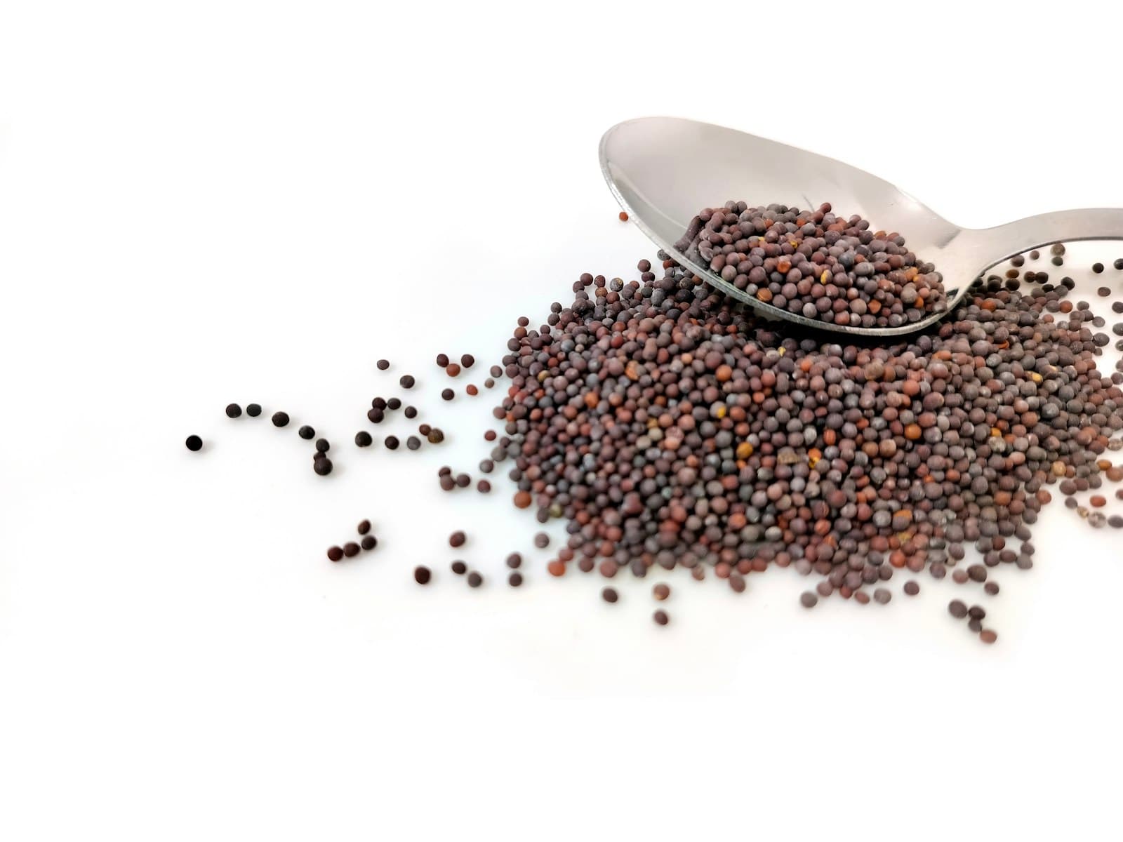 A pile of small dark mustard seeds spilling from a spoon