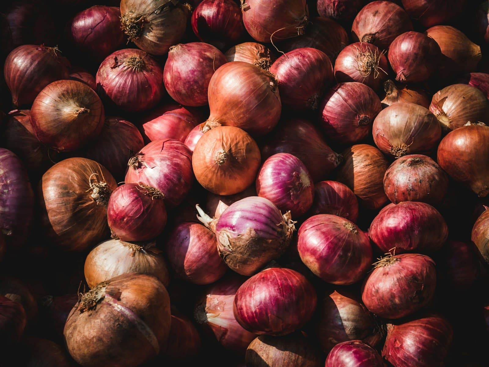 A large pile of harvested red onions
