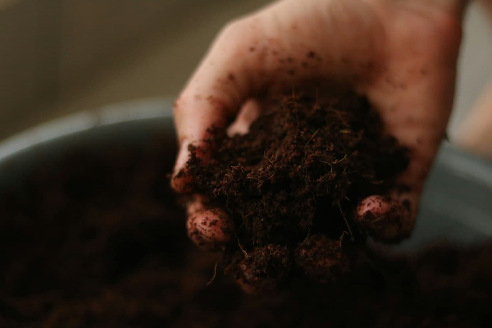A hand holding a mound of dark, crumbly soil above a container