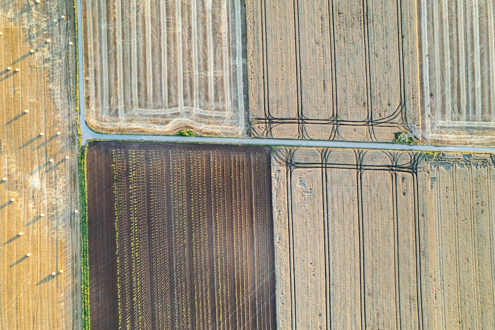 Aerial view of adjoining farmland plots in different colours and textures, divided by a straight road
