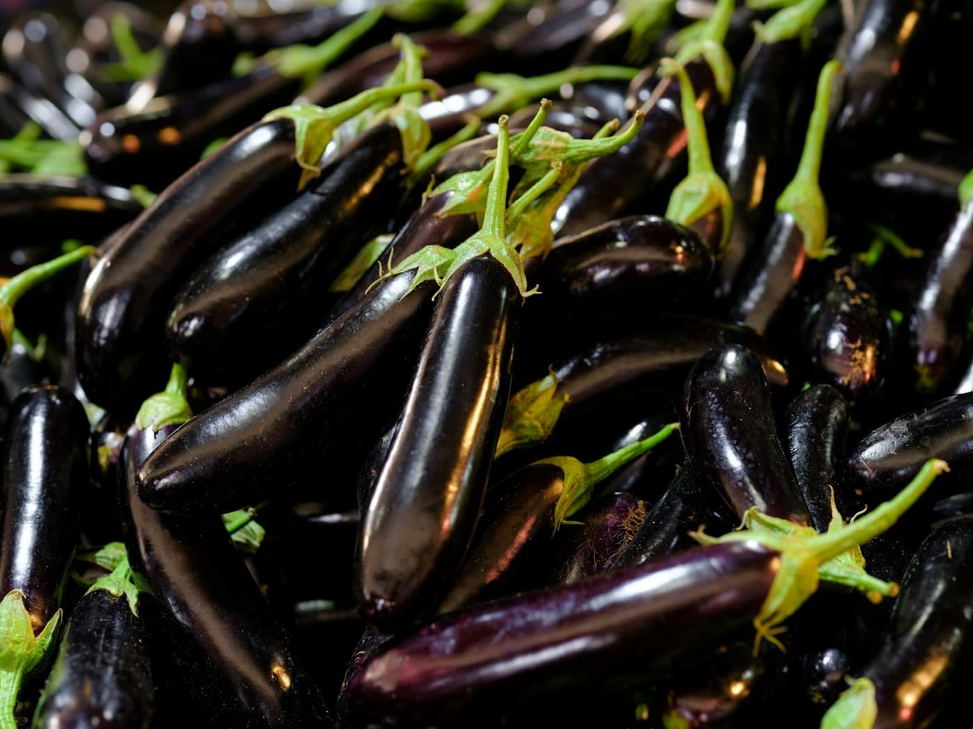 A pile of glossy dark-purple brinjals (eggplant) with green stem caps