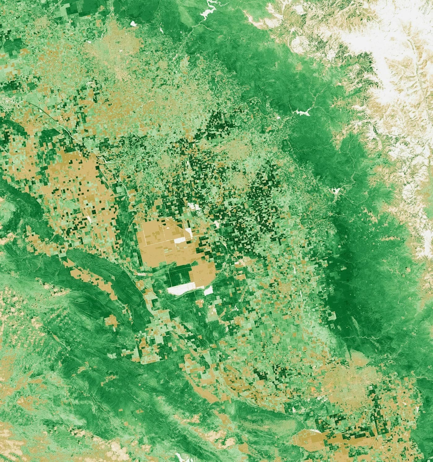 An NDVI vegetation-index satellite map of farmland, colour-coded from red through yellow to green to show crop health across the landscape