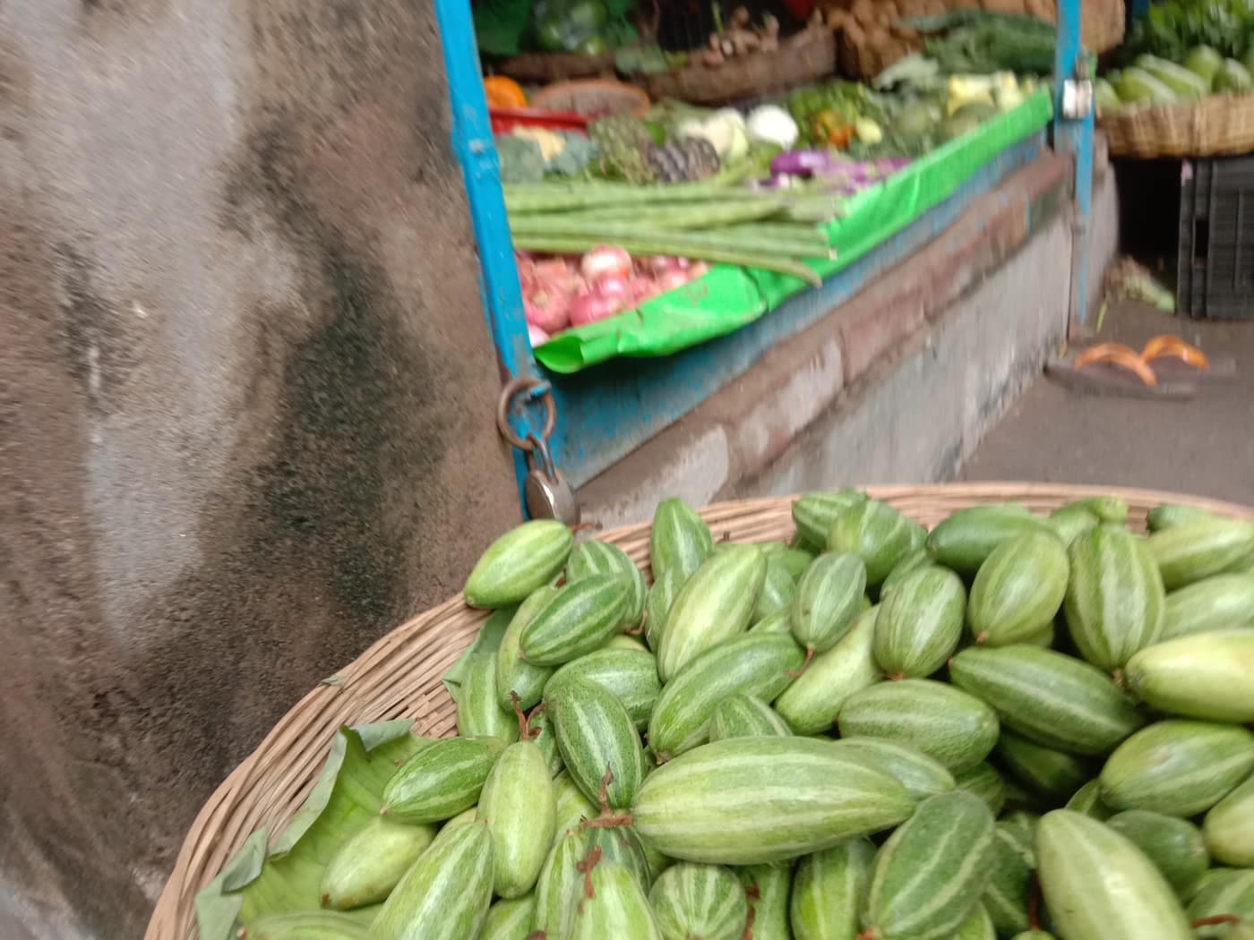 A wicker basket piled with fresh green-striped pointed gourds (parwal) at a market in Hooghly, West Bengal