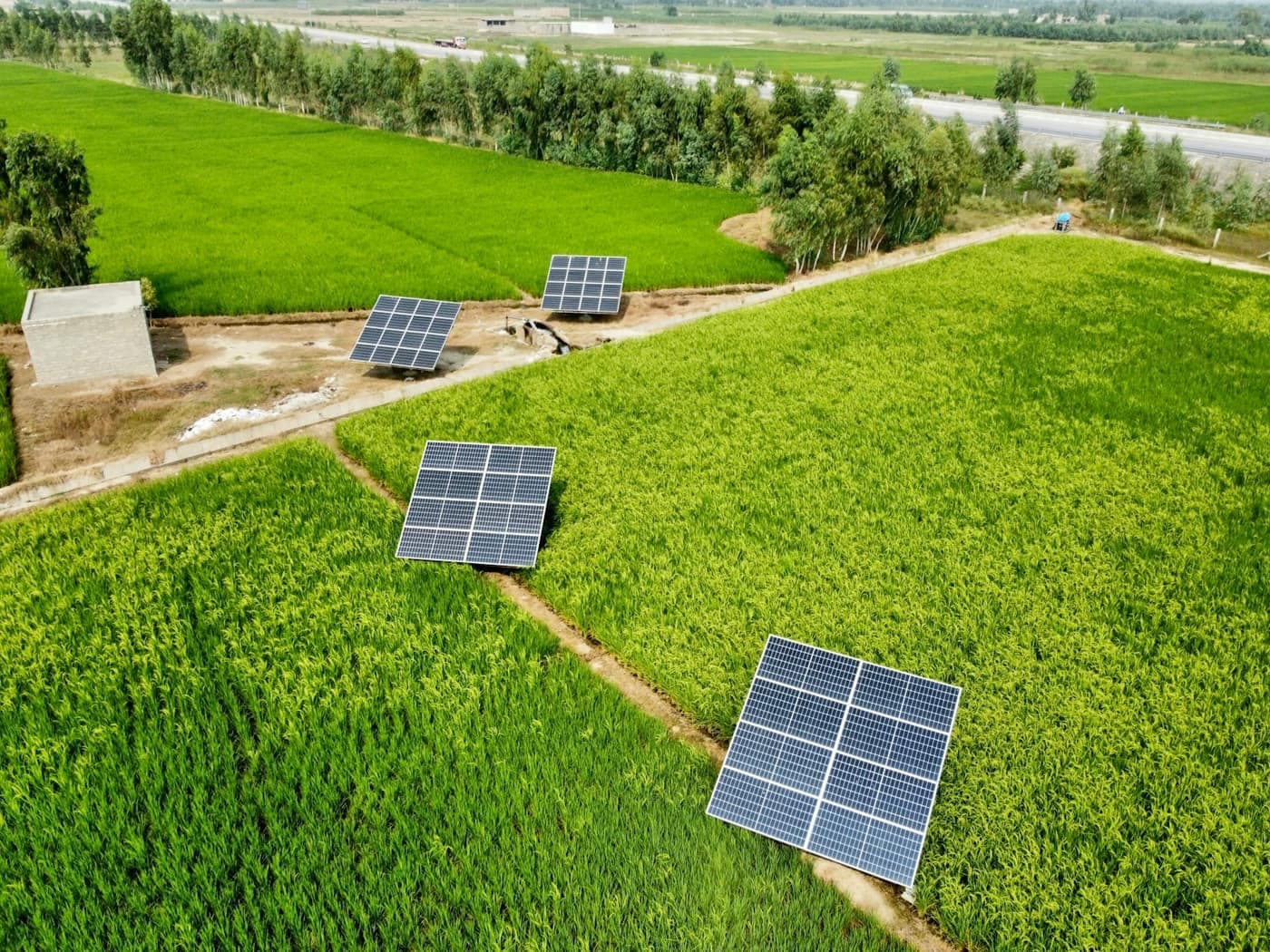 Aerial view of several standalone solar panel arrays on tilted stands, each installed beside a small pump at the edge of green paddy fields