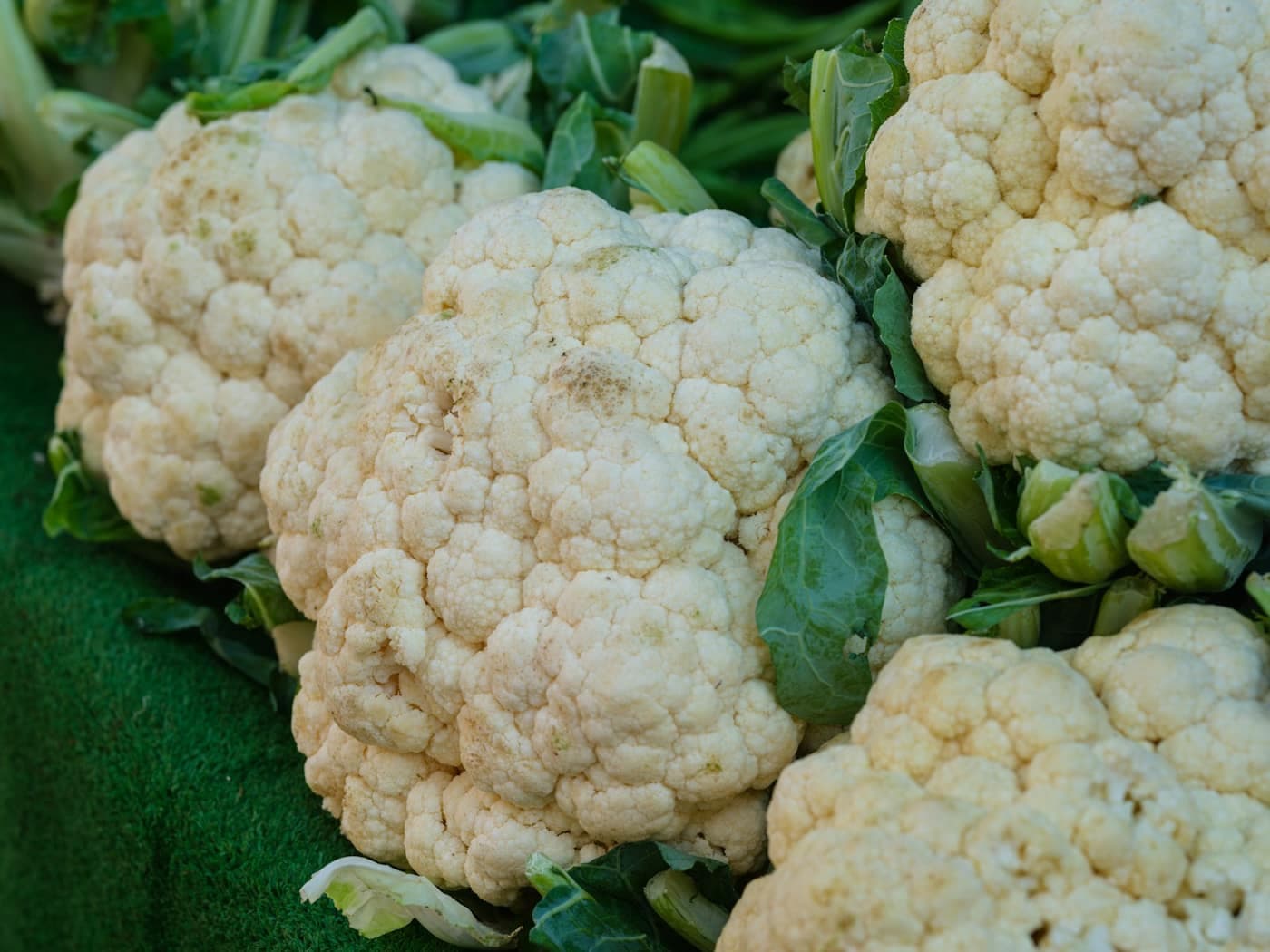 Freshly cut cauliflower heads with pale curds and green leaves at a market