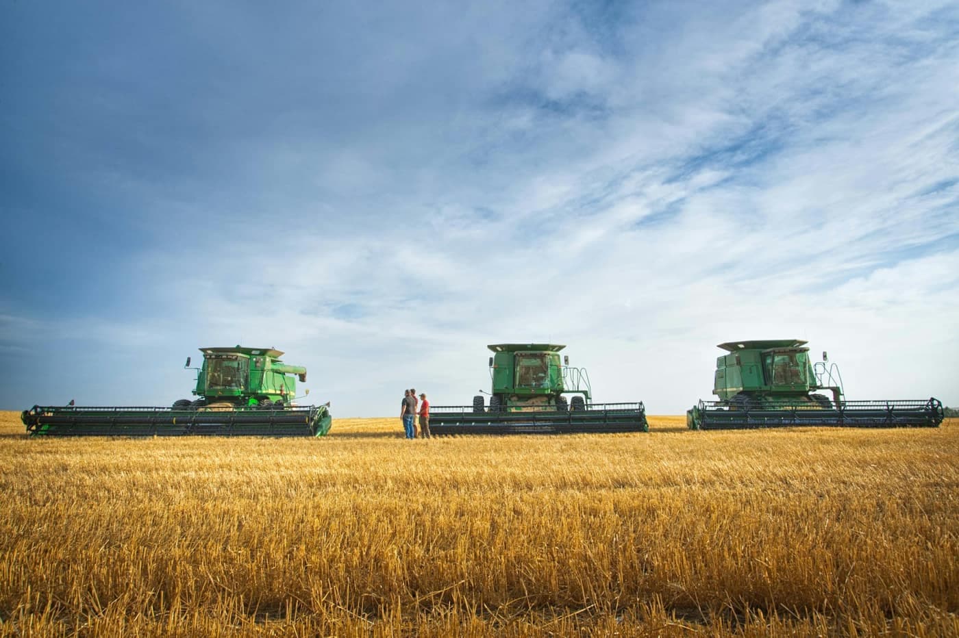 Three combine harvesters lined up in a golden wheat field under a blue sky