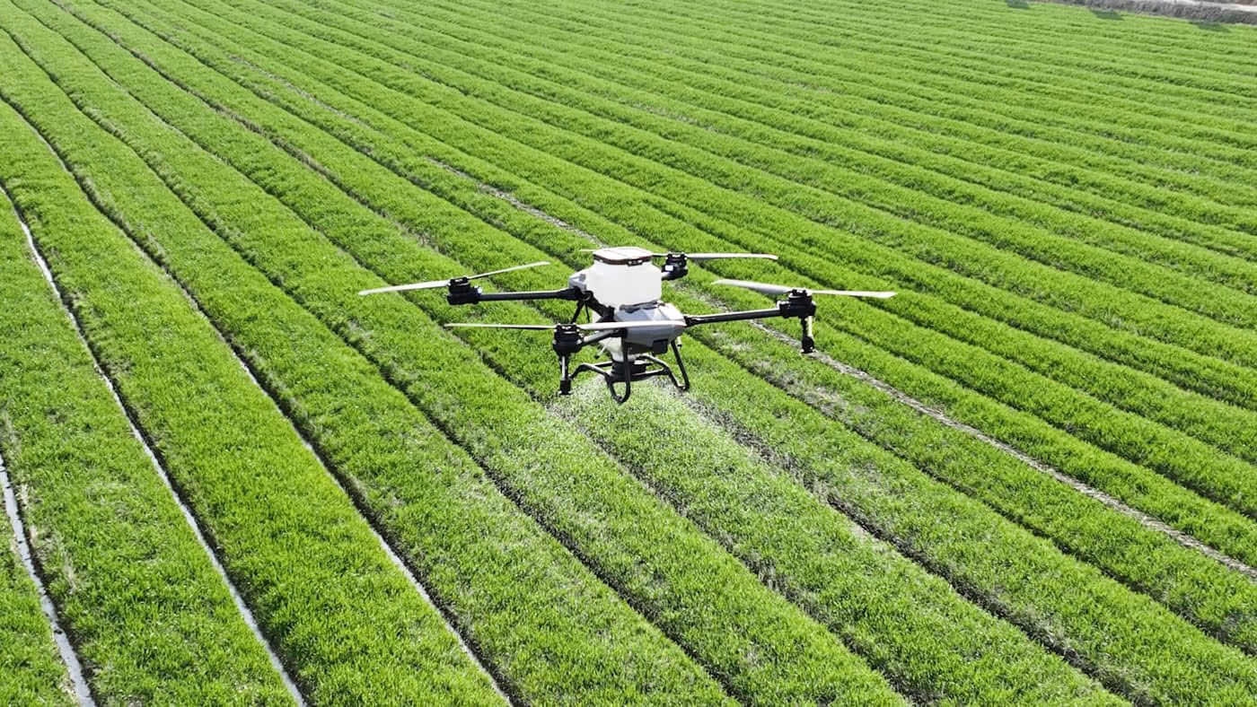 A quadcopter drone spraying over neat rows of a green crop field