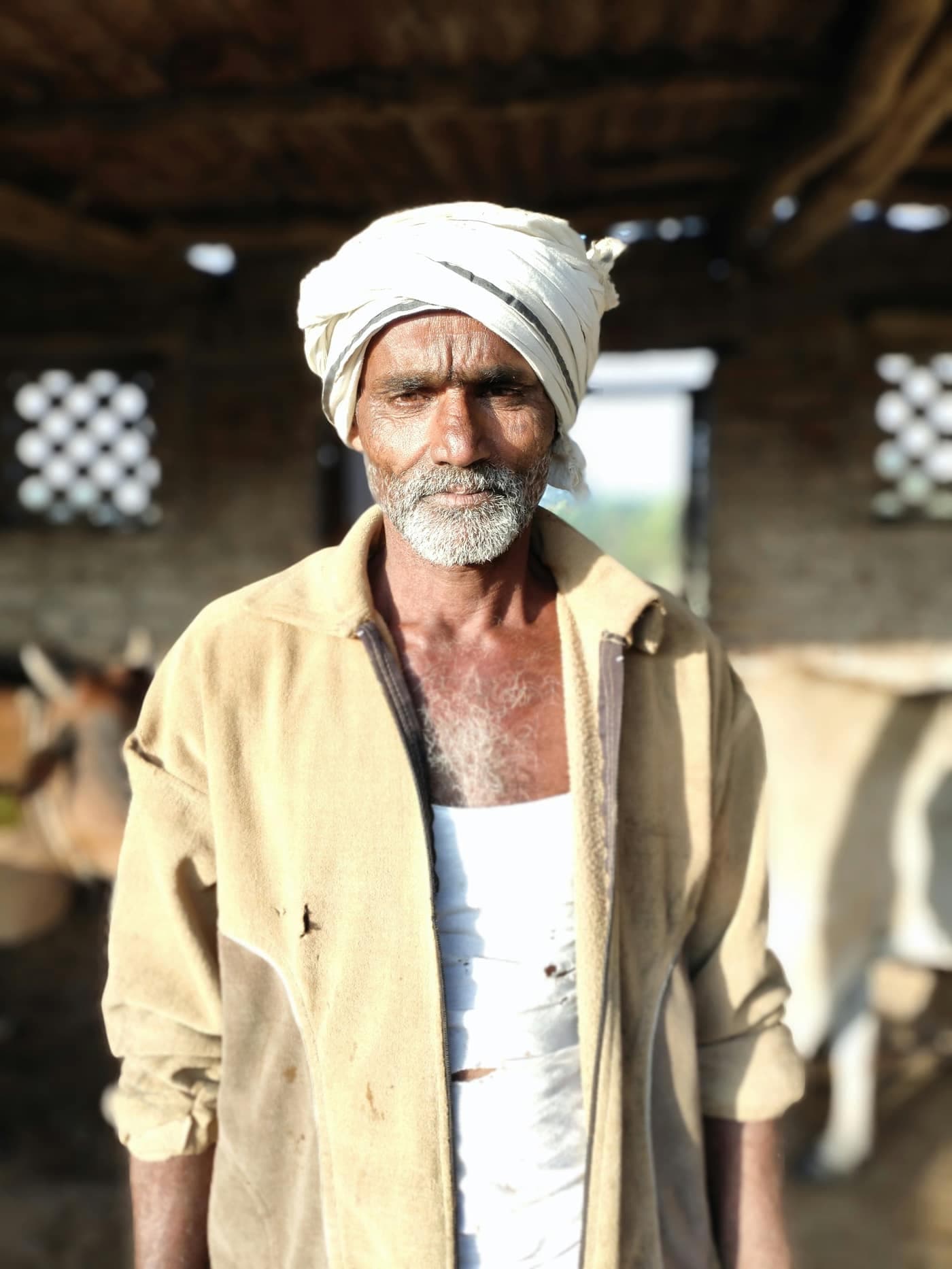 An elderly farmer in a white turban standing inside a cattle shed