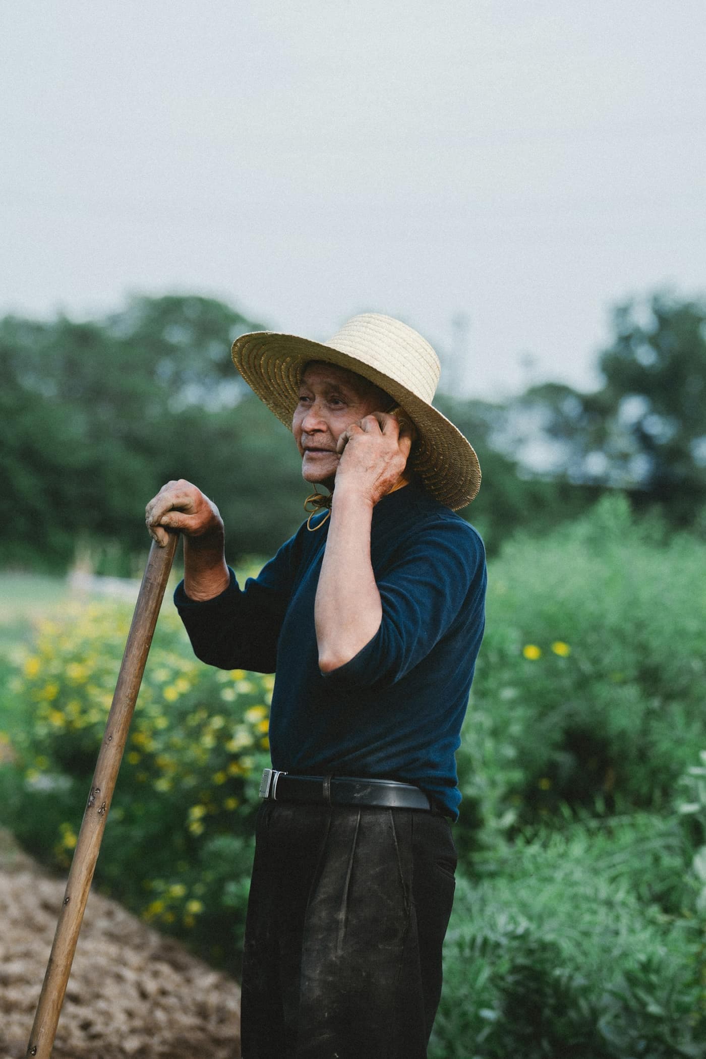 An elderly farmer in a straw hat holds a hoe and talks on a mobile phone while standing beside a flowering field