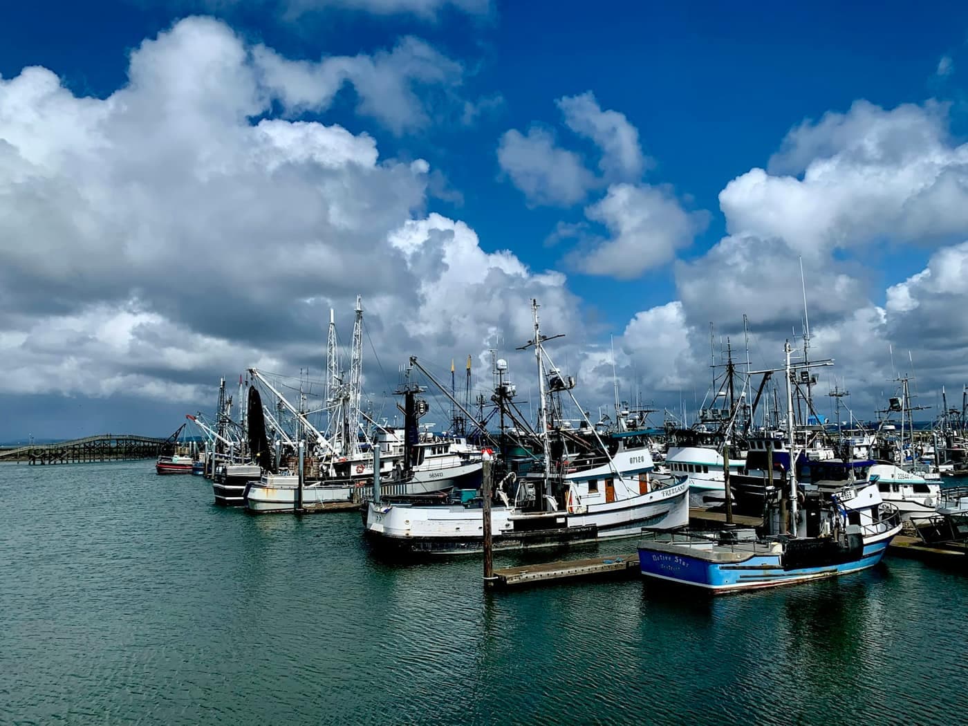 Rows of fishing trawlers moored side by side at a harbour jetty under a partly cloudy sky