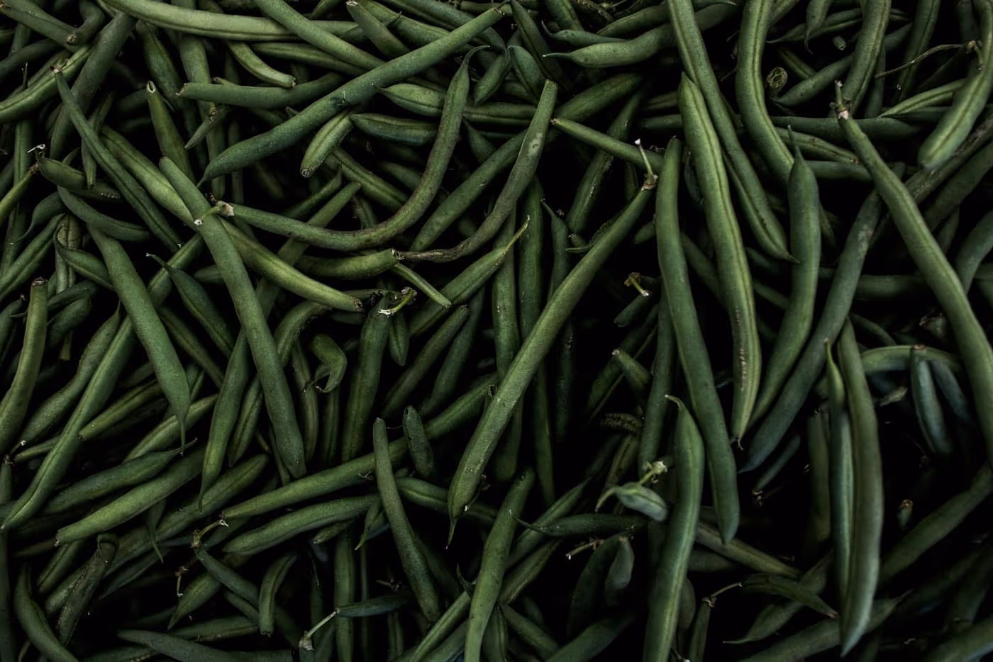 A pile of long, slender green French bean pods