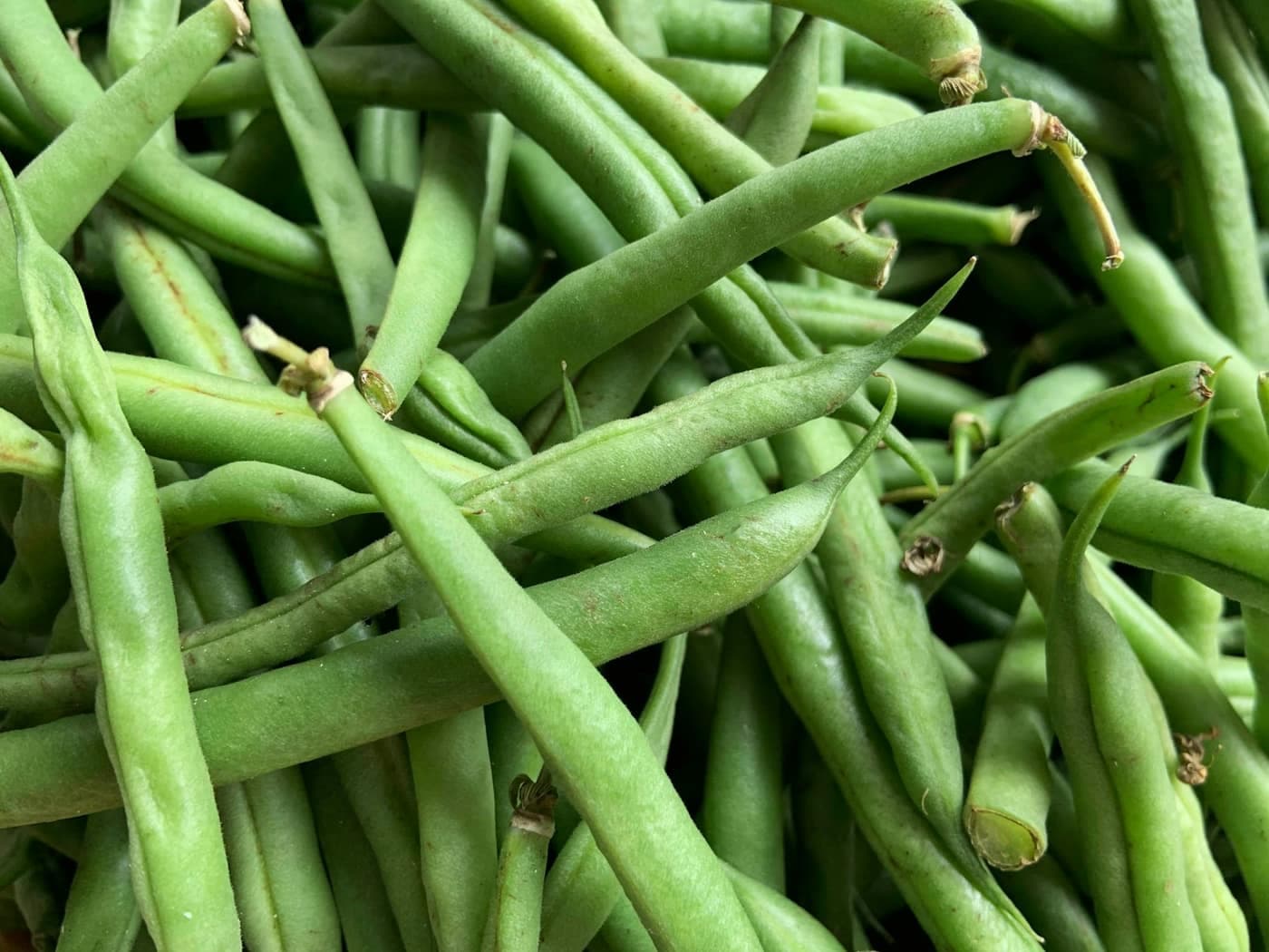 A pile of fresh slender green bean pods, similar in size, shape and colour to guar (cluster bean) pods