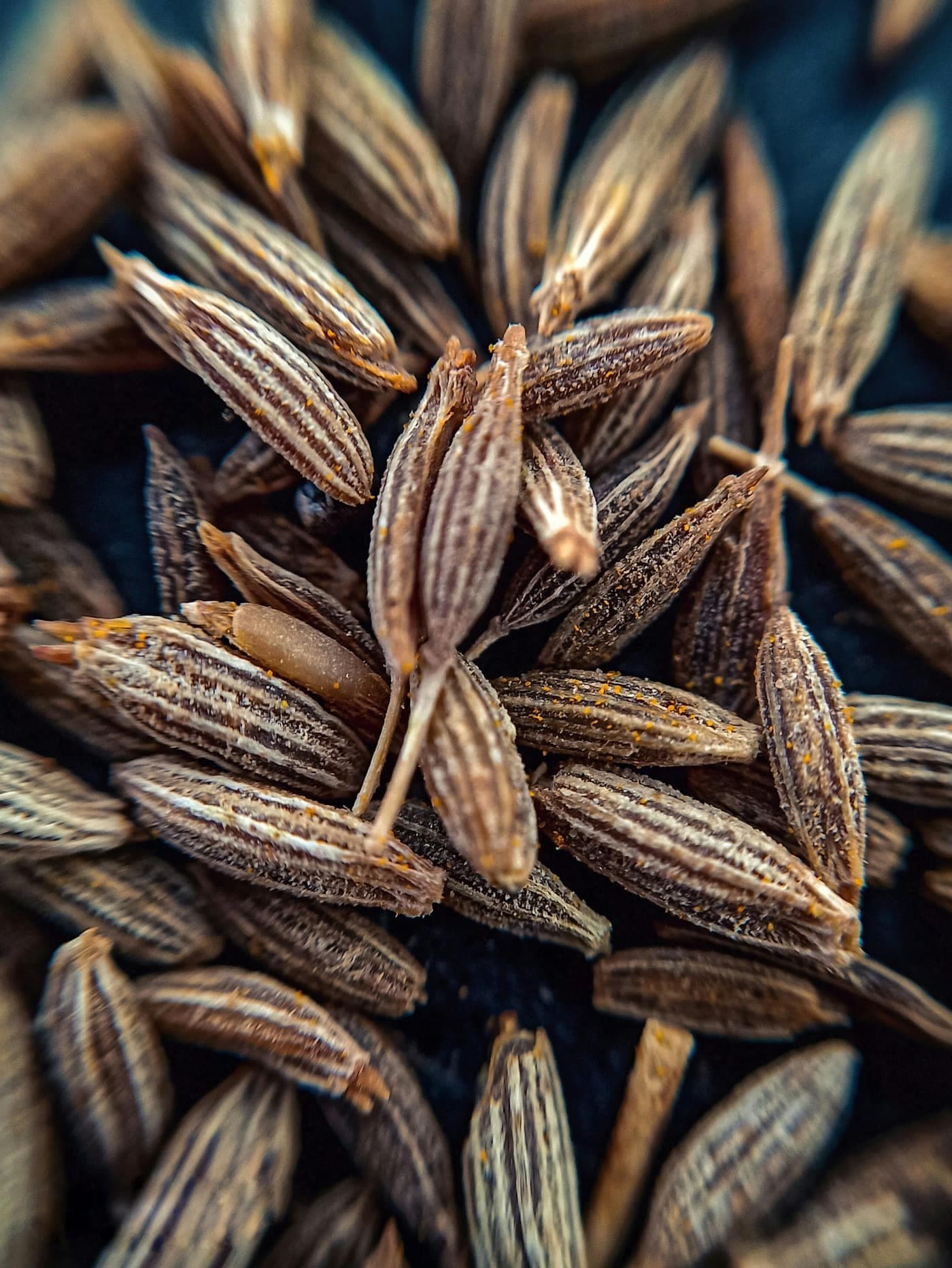 A close-up macro shot of small, ridged brown cumin (jeera) seeds