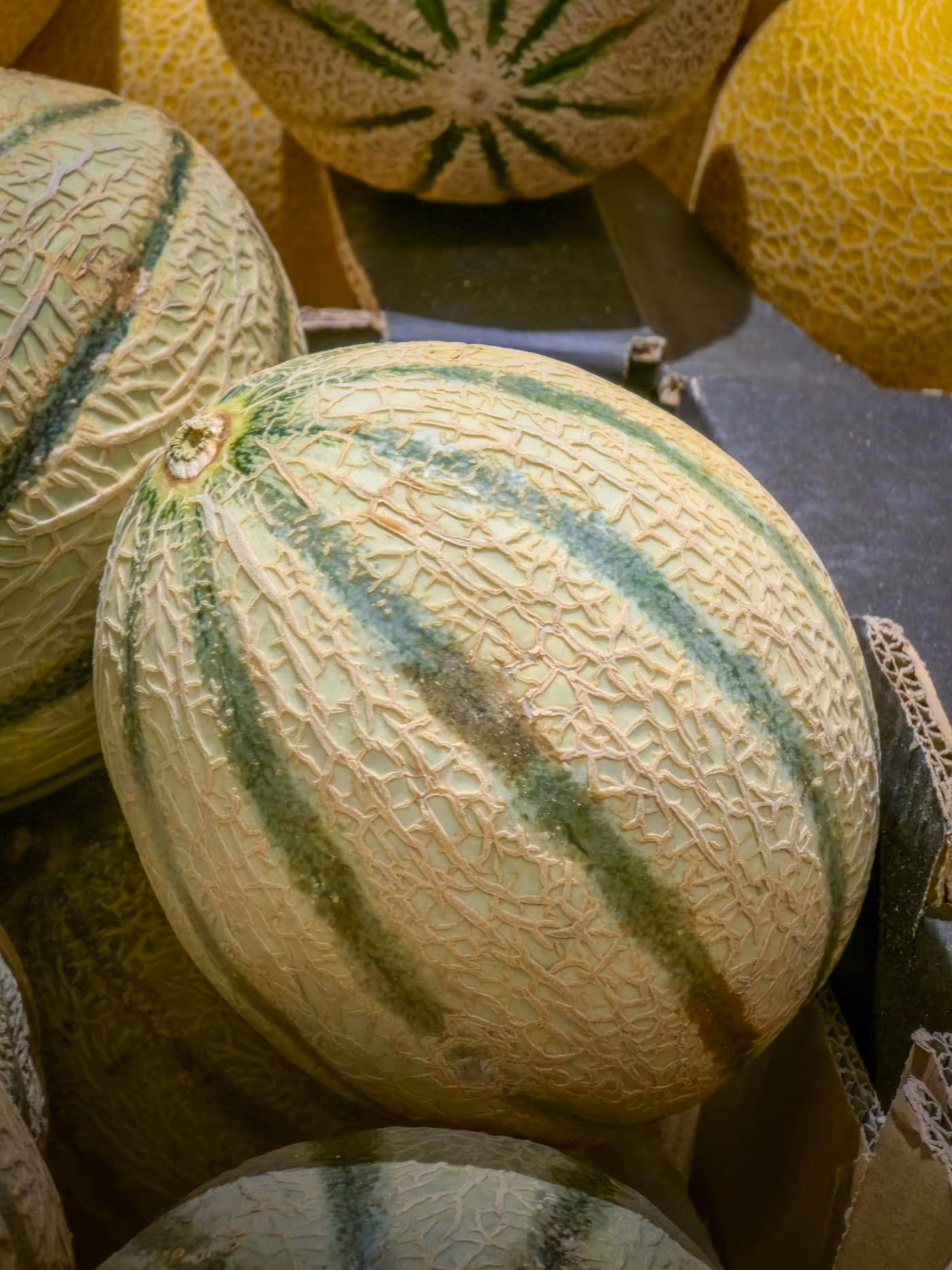 Netted-skin muskmelons (kharbuja) with green sutures stacked in crates at a market