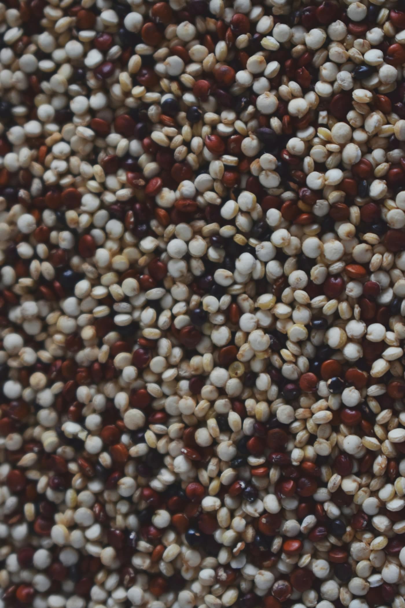 A close-up of mixed white, red and black quinoa grains packed densely together
