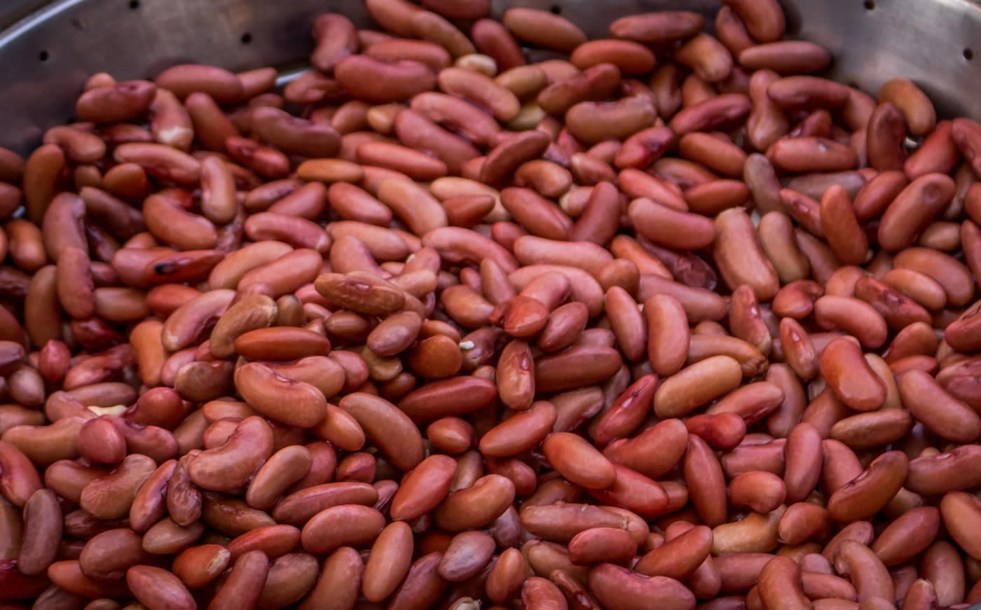 A pile of dried red kidney beans (rajma) in a metal colander