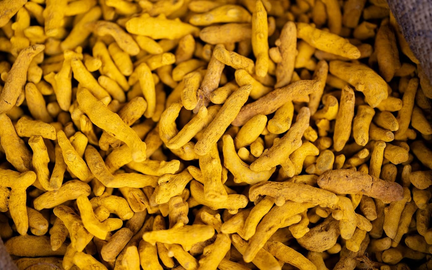 Dried turmeric root pieces showing their golden-orange colour