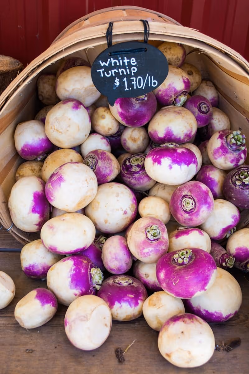A basket of freshly harvested purple-top white turnips (shalgam) at a market stall
