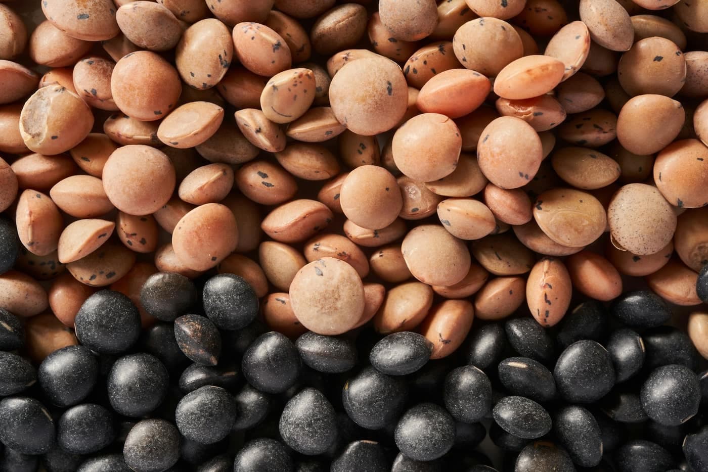 A heap of small black gram (urad) lentils beside lighter pink-brown lentils