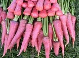 Carrot ( गाजर)Pusa Vristi 250gm(This Price include Procurement & Handling)