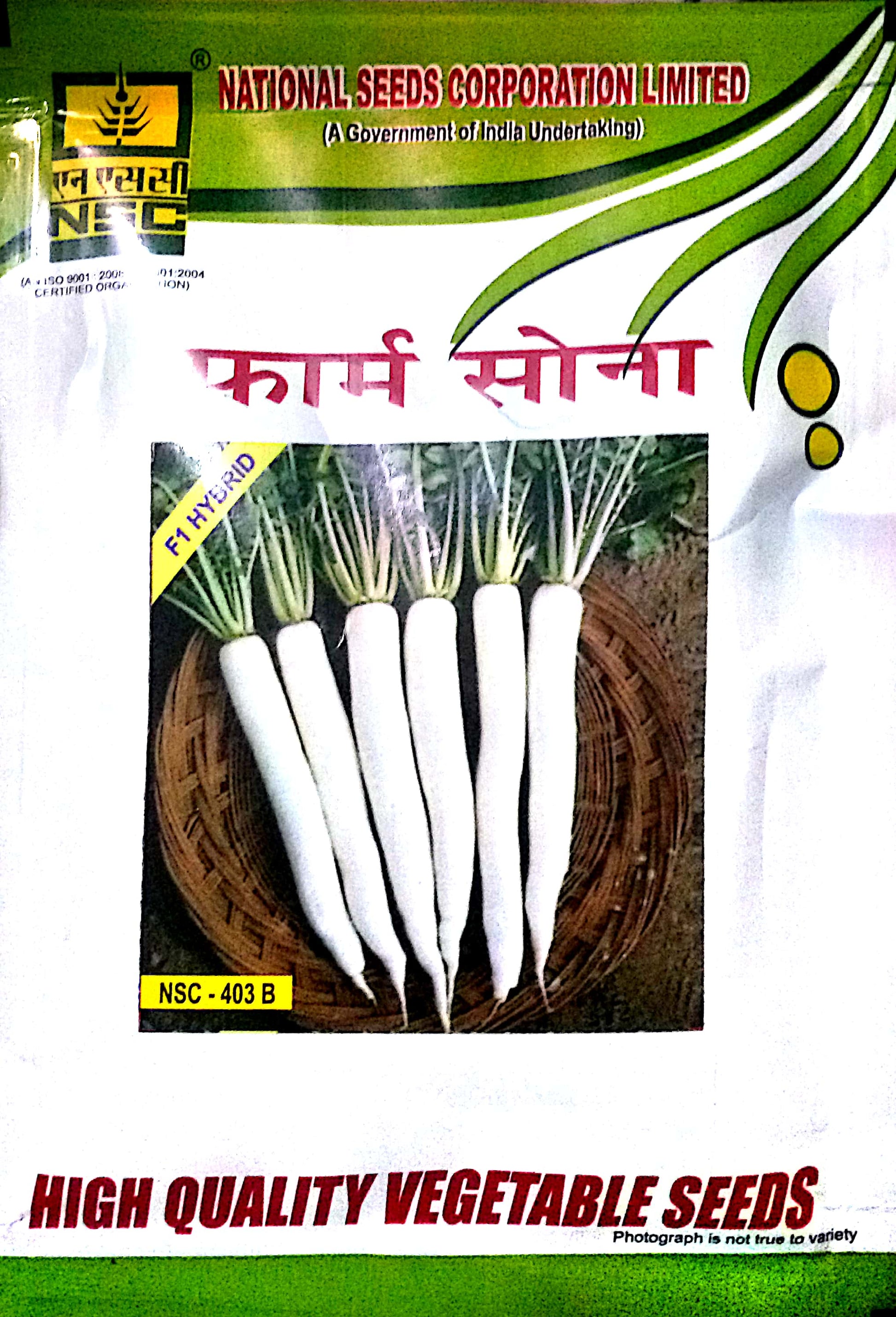 Radish (मूली) 100gm(This Price include Procurement & Handling)