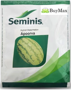 APOORVA WATERMELON ( अपूर्वा तरबूज