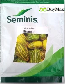 HIRANYA - SAMBAR CUCUMBER