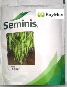 FALGUNI GARDEN BEAN