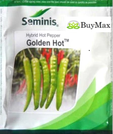 GOLDEN HOT CHILLI