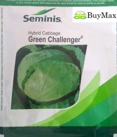 GREEN CHALLENGER CABBAGE