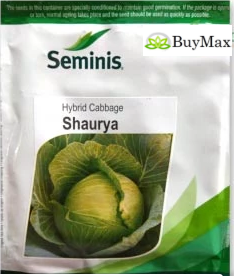 शौर्य पत्तागोभी