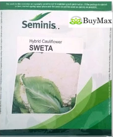 स्वेता फूलगोभी